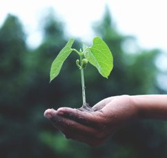 Business Ethics CBD
