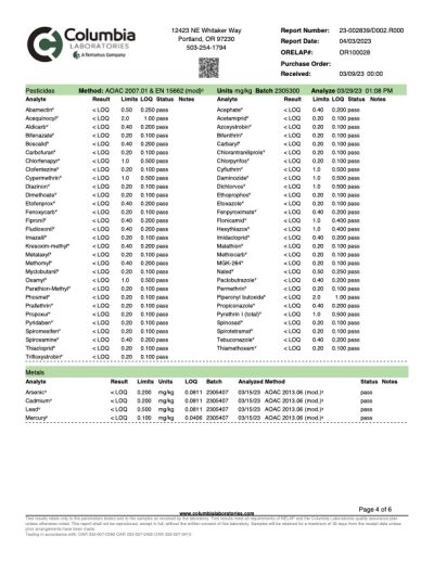 Relief - 10% Broad Spec CBD Oil - Mild Taste - Image 7