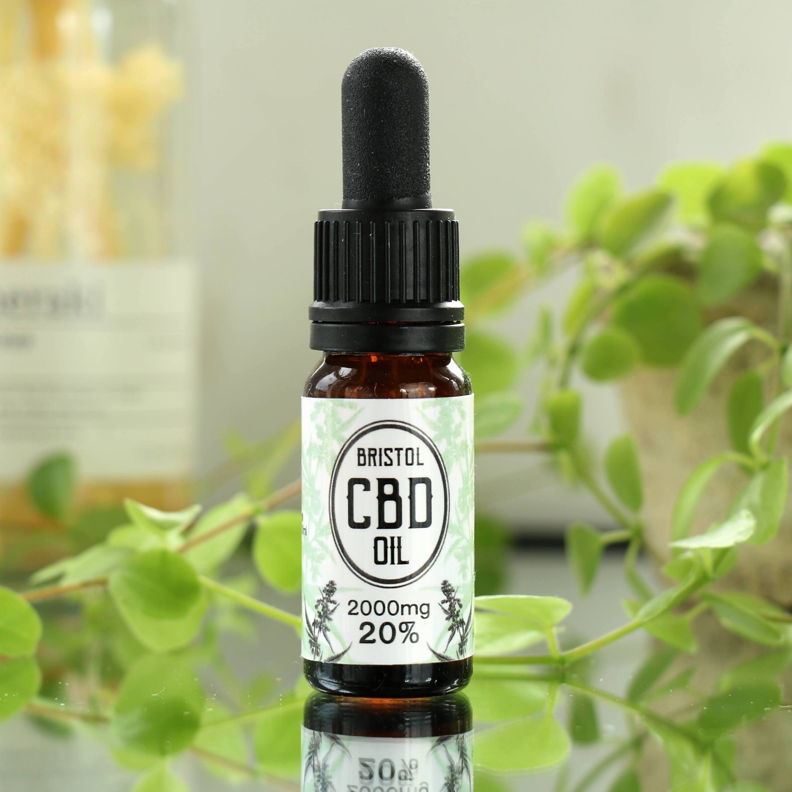 Bristol CBD Oil 2000mg