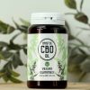 CBD Gummies