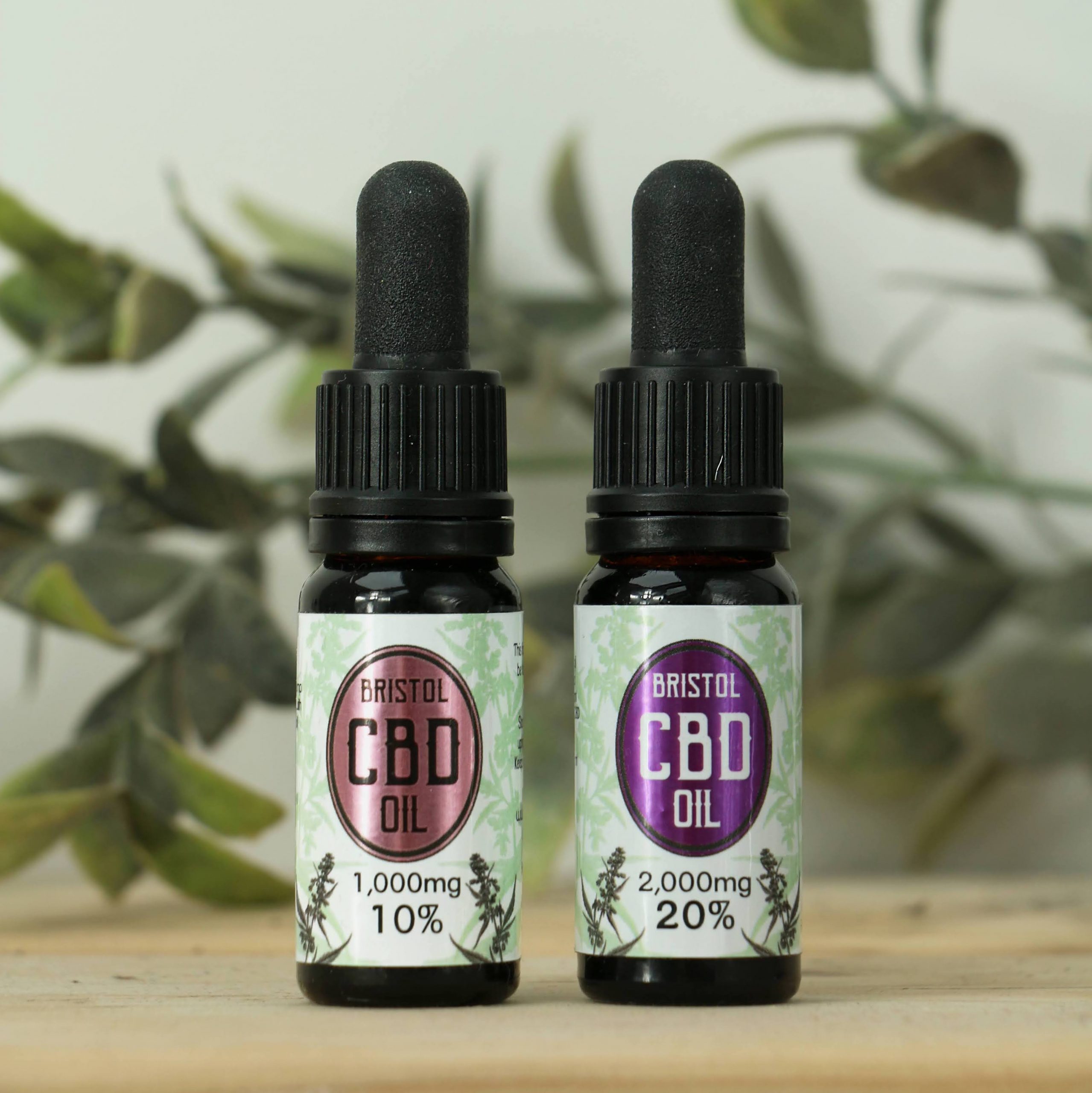 bristol cbd whole plant cbd oil
