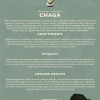 chaga informational flyer