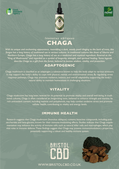 chaga informational flyer