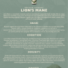 lions mane informational flyer