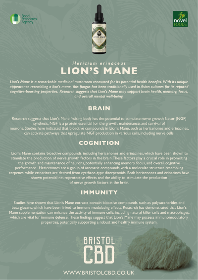 lions mane informational flyer