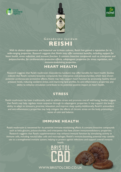 Reishi Mushroom Tincture - Image 3