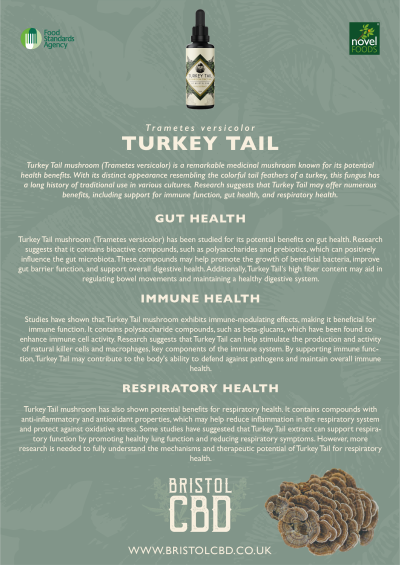 Turkey Tail Mushroom Tincture - Image 3
