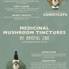 Lion's Mane Mushroom Tincture - Image 2