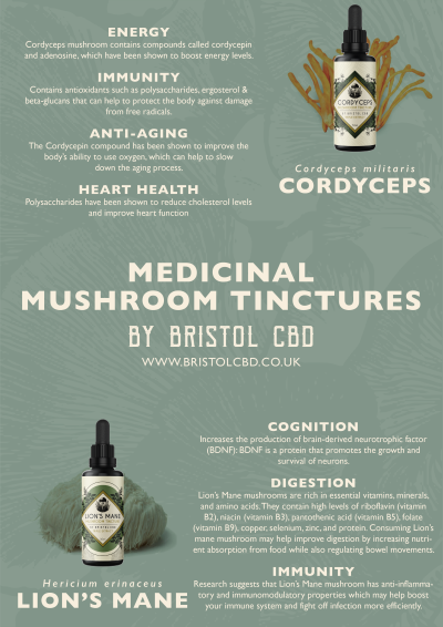 Cordyceps Mushroom Tincture - Image 3