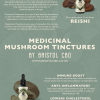 Reishi Mushroom Tincture - Image 2