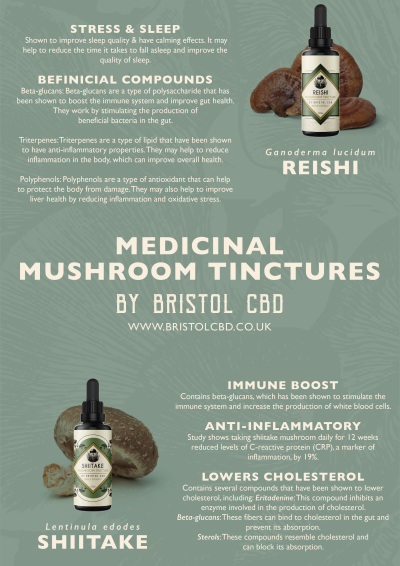 Shiitake Mushroom Tincture - Image 2