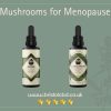 Menopause Mushroom Bundle