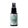 10% Whole plant CBD oil 20ml