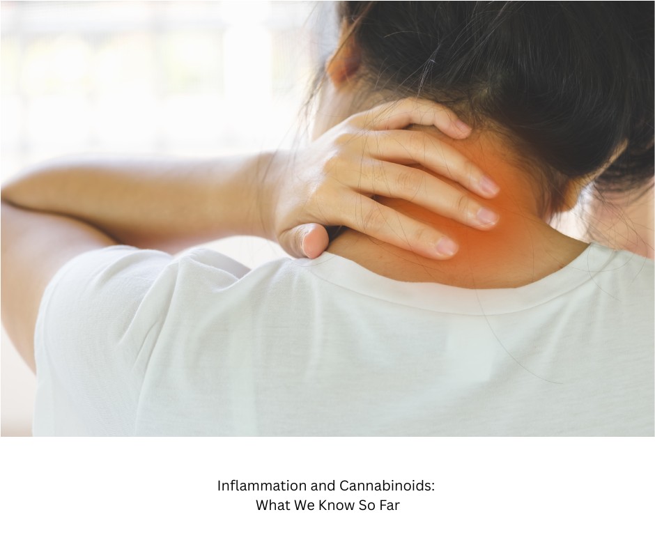 Inflammation and Cannabinoids: A Deep Dive