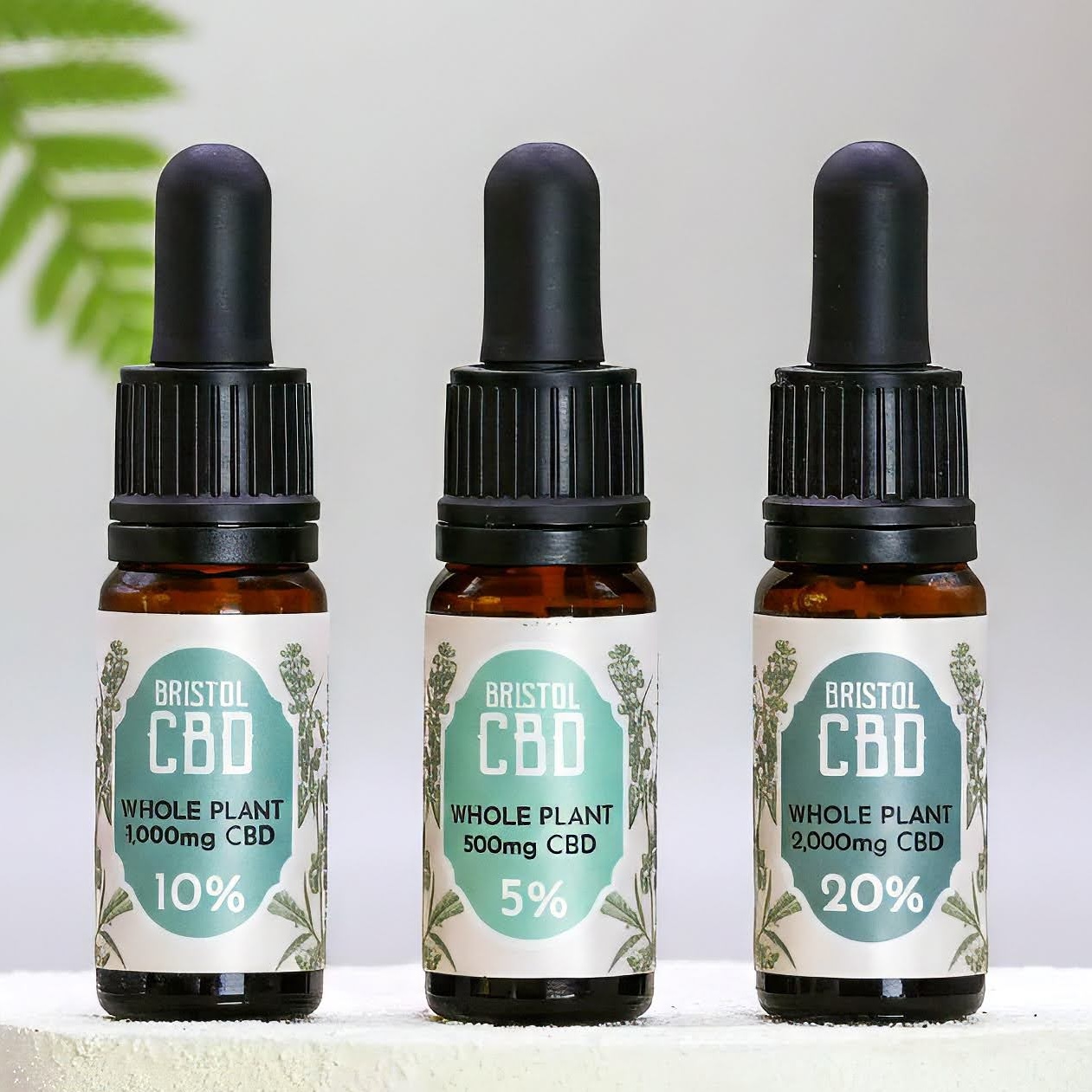 bristol cbd whole plant cbd oil